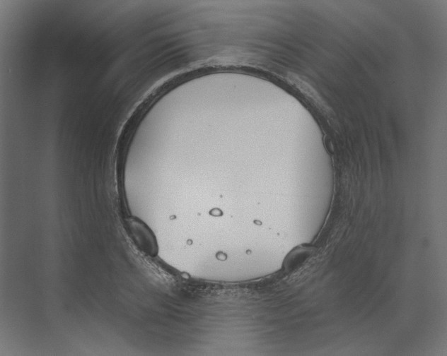 X0000073840934200609071537