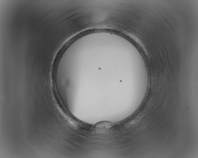 X0000073840935200609071537