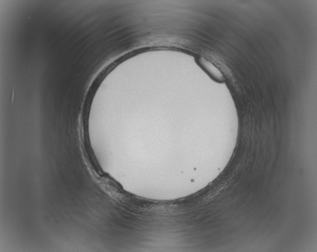 X0000073840936200609071537