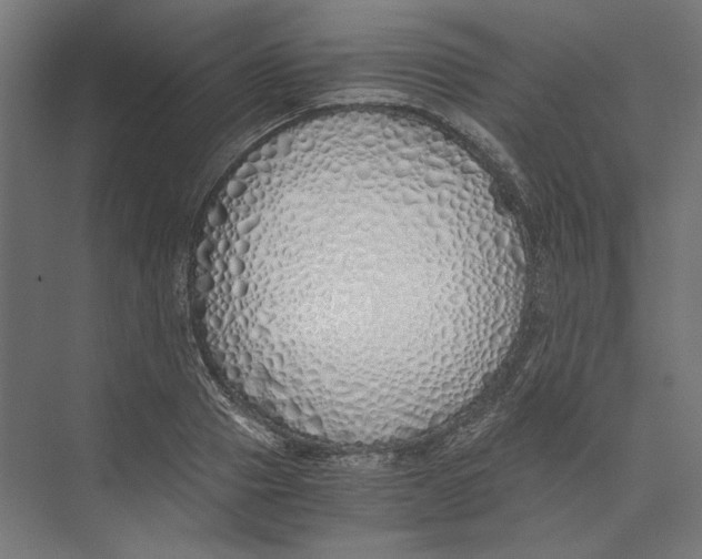 X0000073840937200609071537