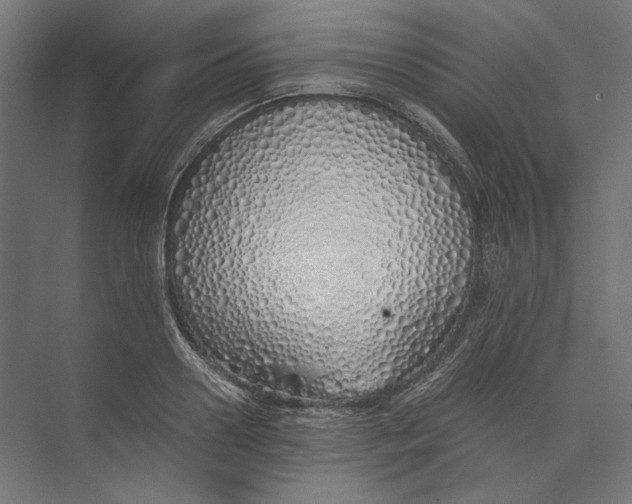 X0000073840938200609071537