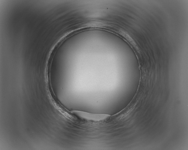 X0000073840939200609071537