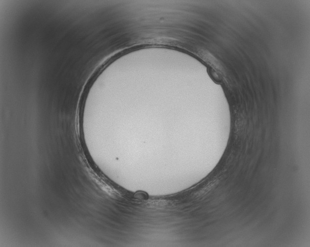 X0000073840940200609071537