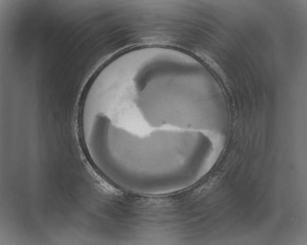 X0000073840941200609071537