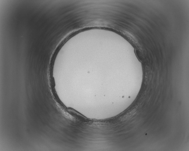 X0000073840942200609071537