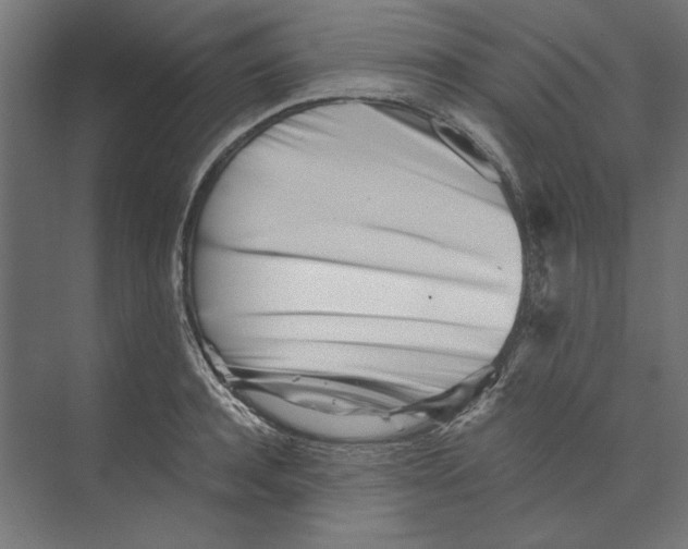 X0000073840944200609071537