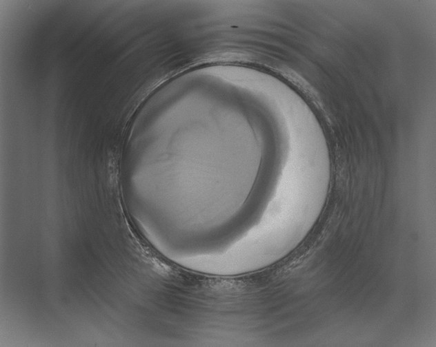 X0000073840945200609071537