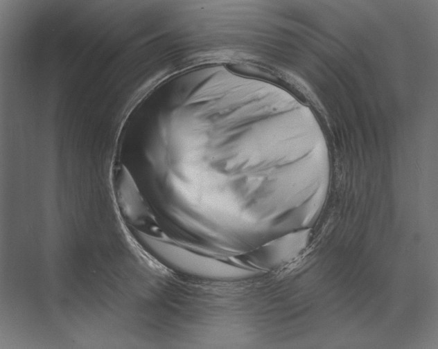 X0000073840946200609071537