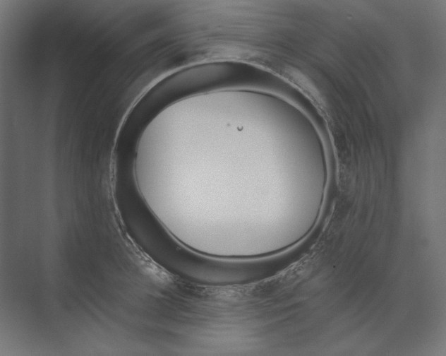 X0000073840948200609071537