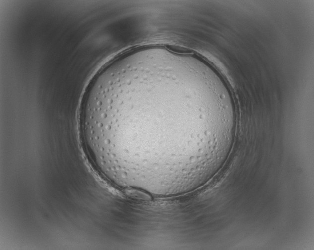 X0000073840949200609071537