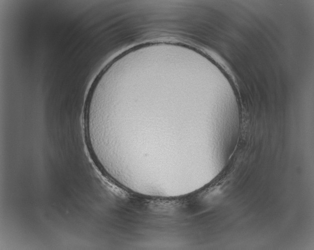 X0000073840951200609071537