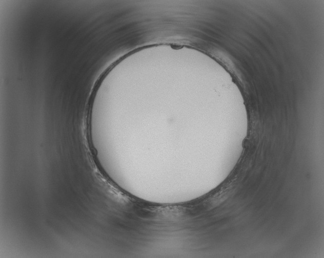 X0000073840952200609071537