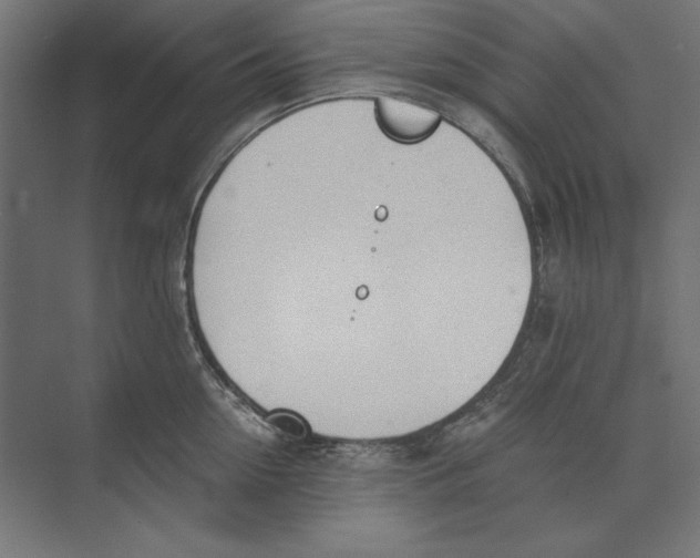 X0000073840954200609071537