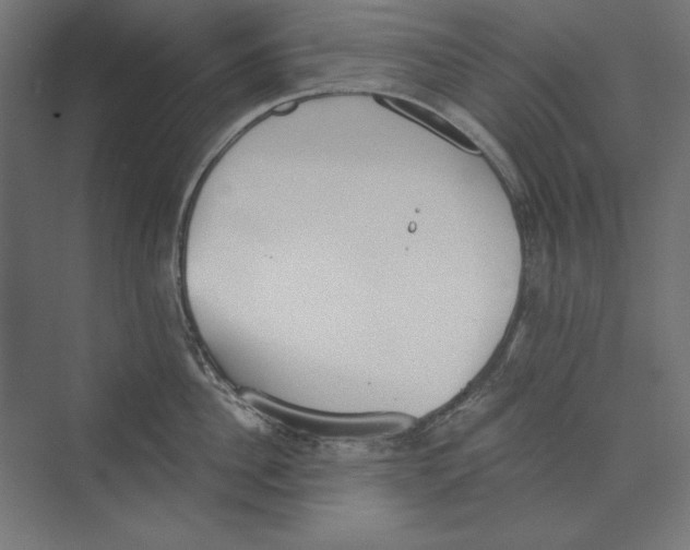 X0000073840956200609071537