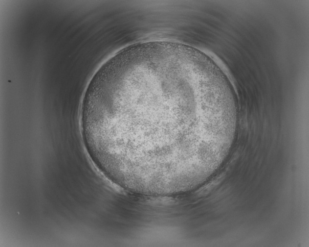 X0000073840957200609071537