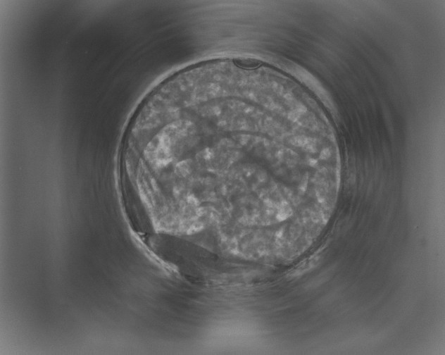 X0000073840958200609071537