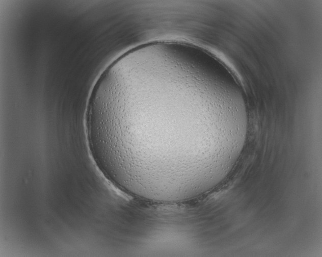 X0000073840959200609071537