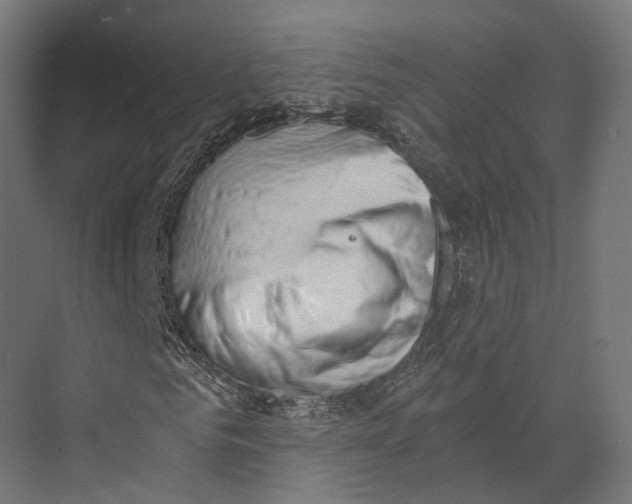 X0000073840961200609071537