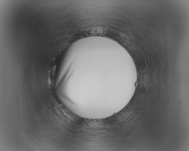 X0000073840962200609071537