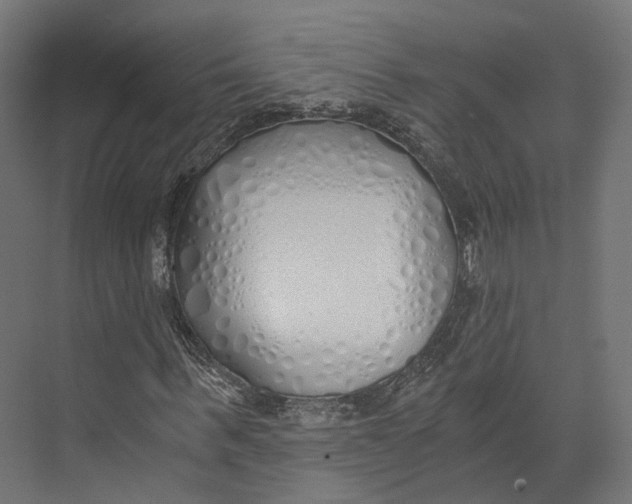 X0000073840963200609071537