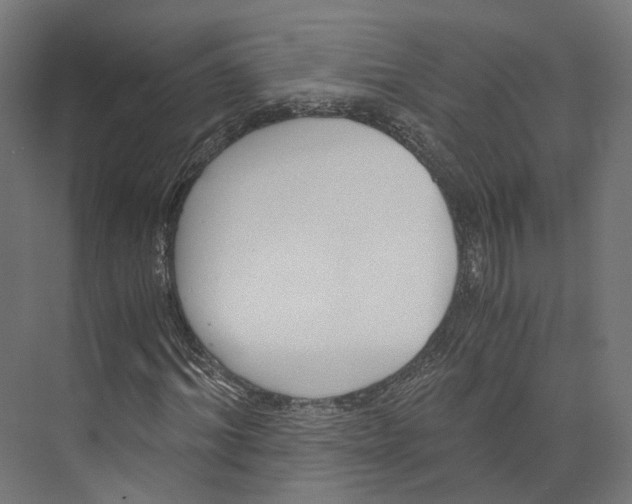 X0000073840964200609071537