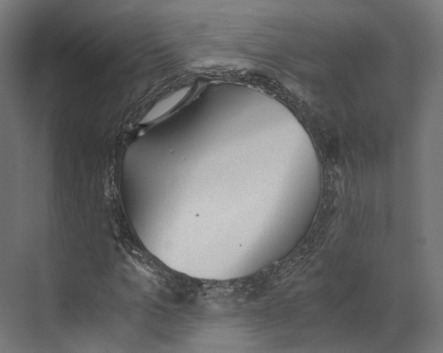 X0000073840965200609071537