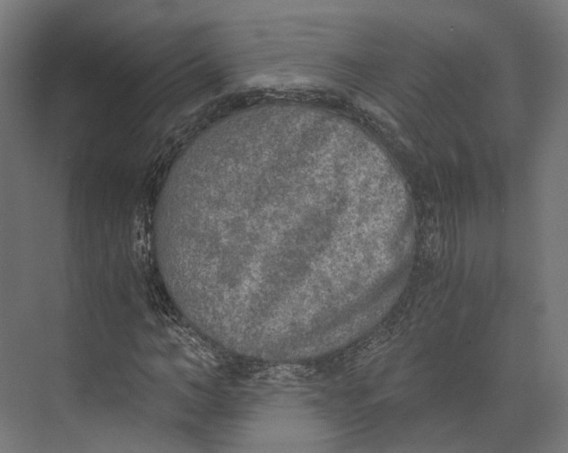 X0000073840966200609071537