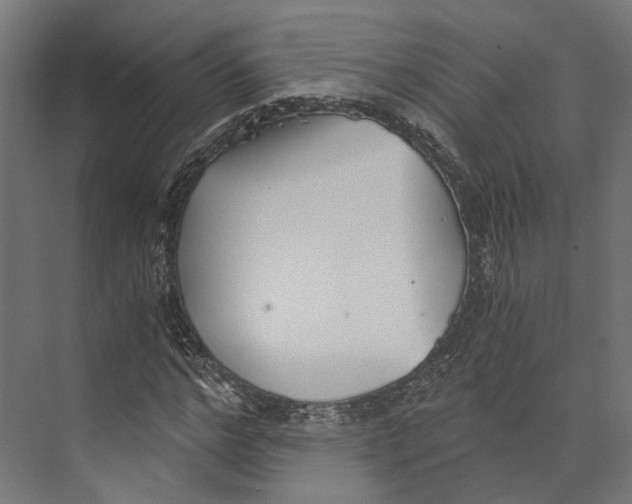 X0000073840968200609071537