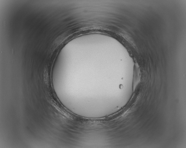 X0000073840969200609071537