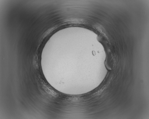 X0000073840970200609071537