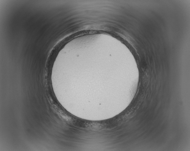 X0000073840971200609071537