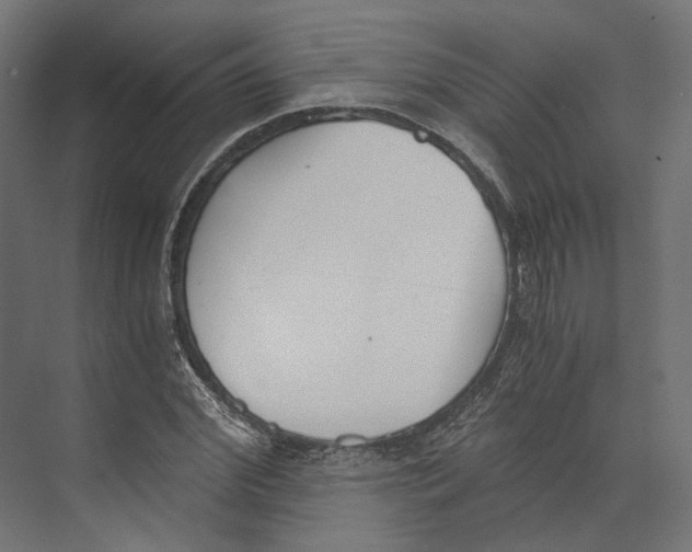 X0000073840972200609071536