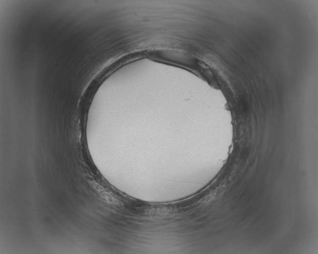 X0000073840973200609071536