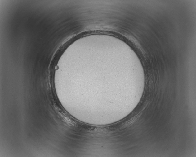 X0000073840974200609071536