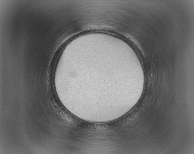 X0000073840975200609071536