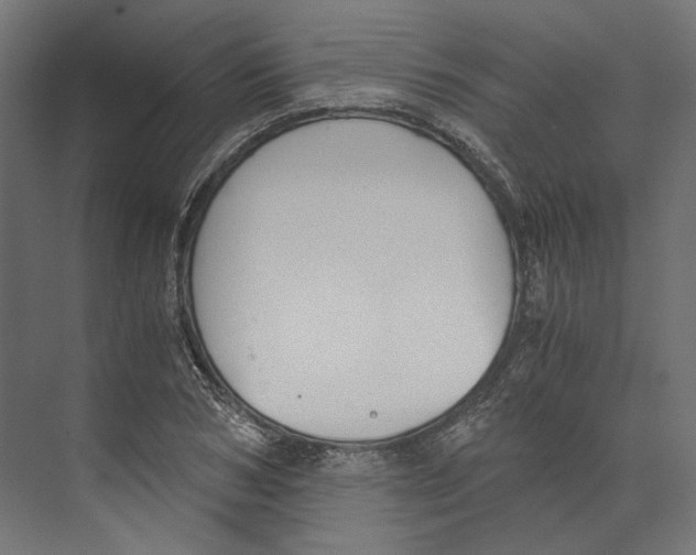 X0000073840978200609071536