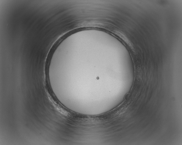 X0000073840980200609071536