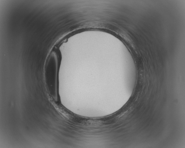 X0000073840981200609071536