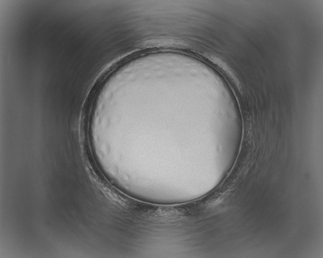 X0000073840983200609071536