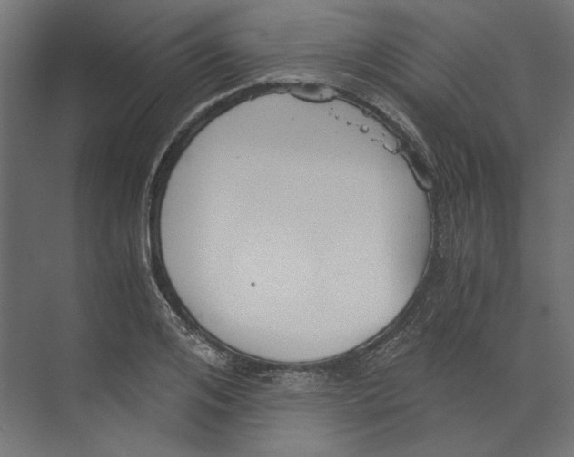 X0000073840984200609071536