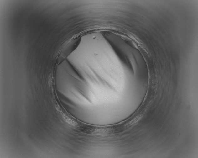 X0000073840985200609071536