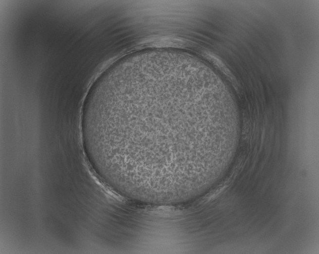 X0000073840986200609071536