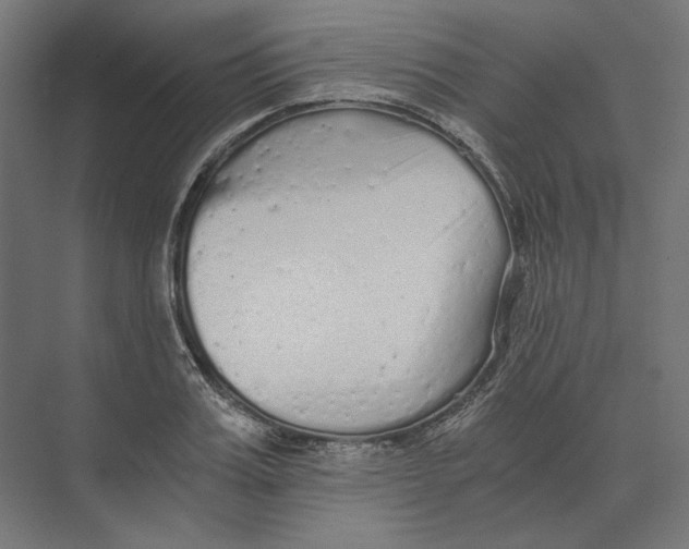 X0000073840987200609071536