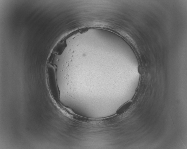 X0000073840989200609071536