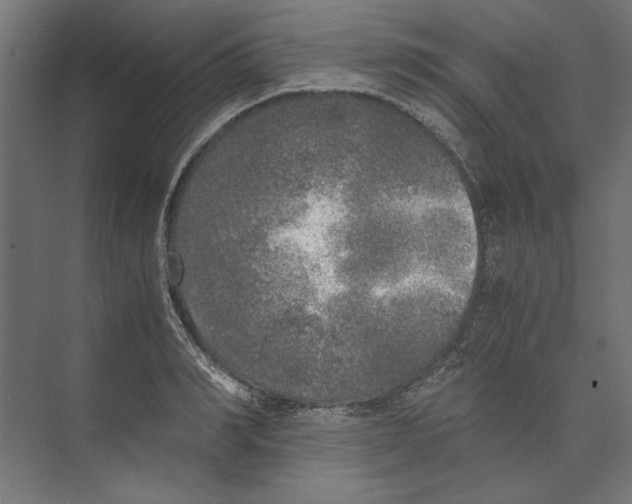 X0000073840990200609071536