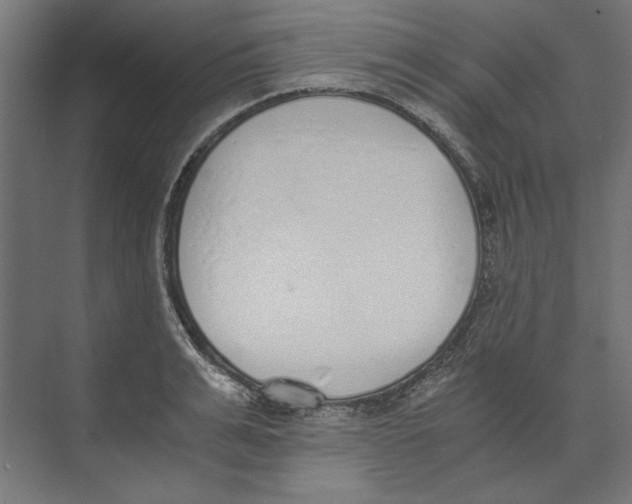 X0000073840991200609071536