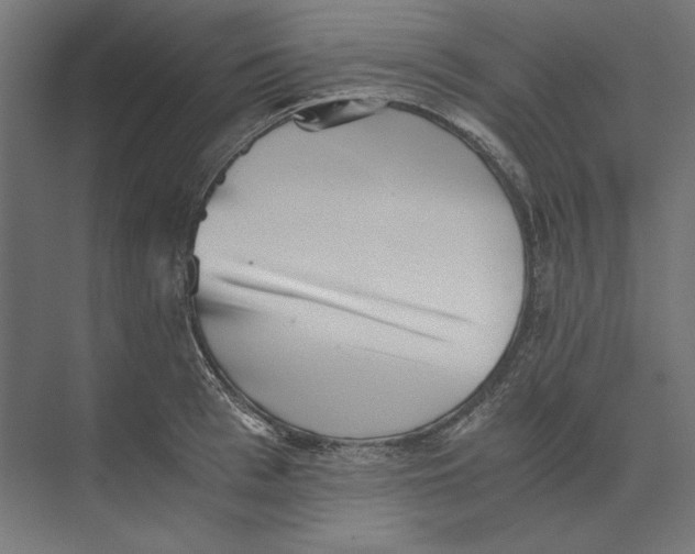 X0000073840993200609071536