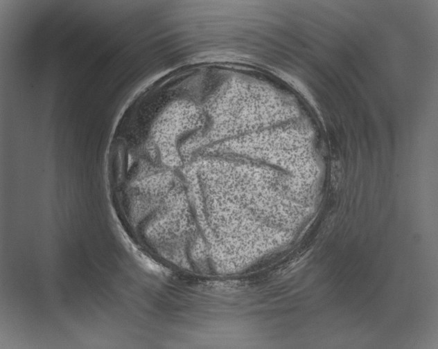 X0000073840995200609071536