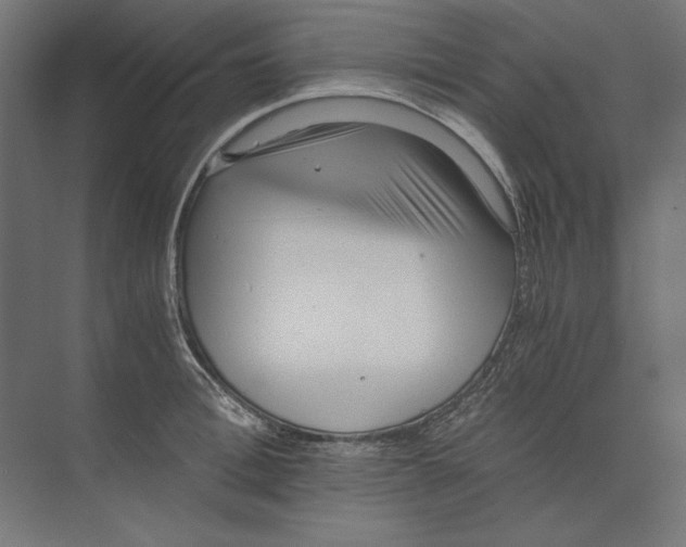 X0000073840996200609071536