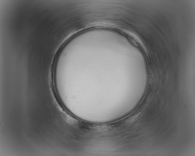 X0000073840999200609071536